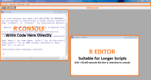 Illustration of The Components of R Window
